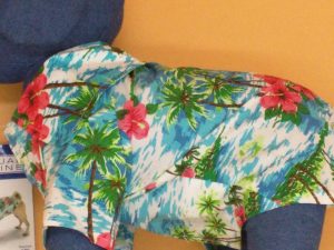 dog-clothing-reviews Review: Casual Canine's Hawaiian Breeze Camp Dog Shirt, size S impulse-notion-blog-review-casual-canines-hawaiian-breeze-camp-dog-shirt-size-s