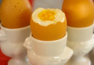 impulse-notion-blog-eggstatic-about-eggs