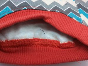 dog-clothing-reviews Review: Zack and Zoey Chevron Fox Dog Hoodie, Size XS impulse-notion-blog-review-zack-and-zoey-chevron-fox-dog-hoodie-size-xs