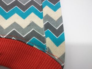 dog-clothing-reviews Review: Zack and Zoey Chevron Fox Dog Hoodie, Size XS impulse-notion-blog-review-zack-and-zoey-chevron-fox-dog-hoodie-size-xs