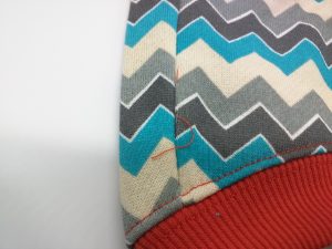 dog-clothing-reviews Review: Zack and Zoey Chevron Fox Dog Hoodie, Size XS impulse-notion-blog-review-zack-and-zoey-chevron-fox-dog-hoodie-size-xs