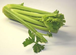impulse-notion-blog-celebrating-celery